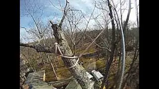 Pendulum Rigging- Extreme Tree Company