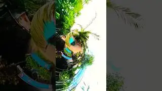 Top Things To Do In Roatan Honduras | Walking Tour West End | Travel & Explore Honduras