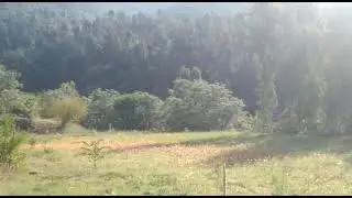 Beautiful Place in Lower Dir Timargara