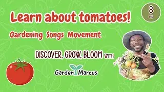 Learn tomatoes! 🍅 Gardening | Colors | Nature | Toddler Learning | Movement | Songs