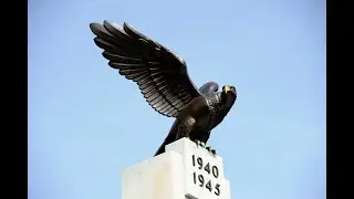 Polish Air Force Commemoration 2022