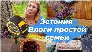 Дачные блоги из Эстонии.Границы территории между дачными участками.Обзор продуктов.Цены на продукты