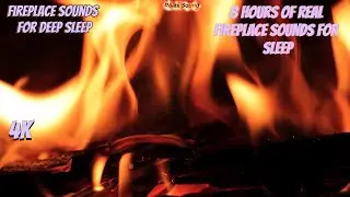 8 Hours 4K Campfire 🔥 Close-Up Fireplace Sounds for Deep Sleep, Relaxation & Study