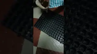 Making stand with drain cells