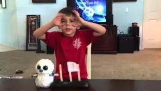 Sauter Sciuto's Owl City - Republic Records