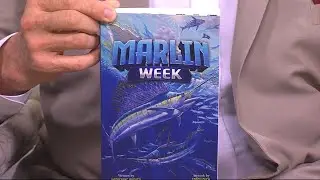 Local Author Writes Novel, 