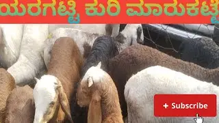 ಯರಗಟ್ಟಿ ಕುರಿ ಮಾರುಕಟ್ಟೆ ಪ್ರತಿ ಶನಿವಾರದಂದು ನಡೆಯುತ್ತದೆ ದಿನಾಂಕ 03/01/2026