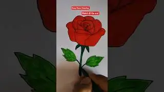 Rose Drawing #shorts #youtubeshorts #ytshorts #drawing #art #fyp