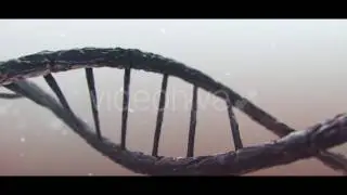 DNA - Videohive Motion Graphic