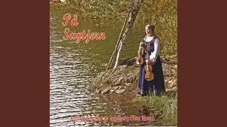 Vindv&aelig;rspols
