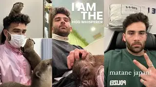 [2023-03-04] Hasan in Japan &ndash; Instagram Stories Compilation (NO STREAM TODAY, flying back to the US)