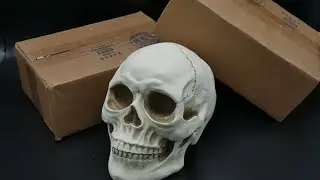 HorrorPack February 2023 Unboxing & Review | DVD & Blu-ray Horror Packs