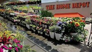 Новые поступления в садовый центр Home Depot на апрель 2024 года - весенние однолетние и многолет...