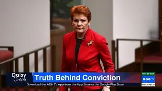 Pauline Hanson's Political Vindication