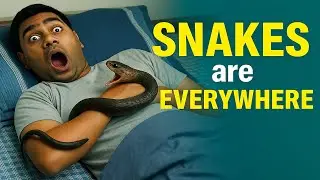Top 5 DEADLIEST Snake Bites in India 😱 Caught on Camera! (It's not Cobra)