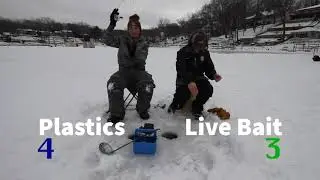 Fishing on a High Pressured Lake, Live Bait VS Plastics! Plastics Win!?!?