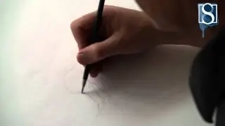 How to Draw a Cat step-by-step by Mark Bergin