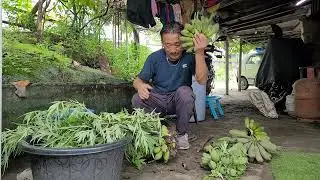 Indigenous technical knowledge on Banana.