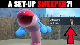Why You Should Use Orthworm!