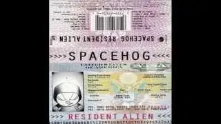 Spacehog - In The Meantime (Instrumental)
