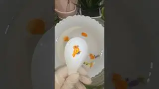How to draw and color cute bird 🐦 with water magic pen and float in water #viral #bird #arr #satisfy