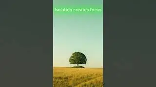 One tree. One mood #cinematic  #photography  #minimalism  #nature  #shorts
