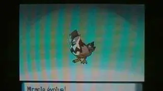 Evolution Etourmi shiny en Etouraptor