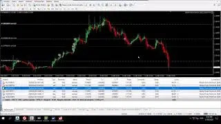 Robot Forex Premium 2020 - SEGURO e LUCRATIVO