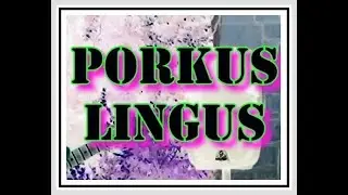 Remote Music Porkus Lingus poor sound quality new version is better sound