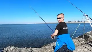 Gullen wedstrijd Noordpier Ijmuiden