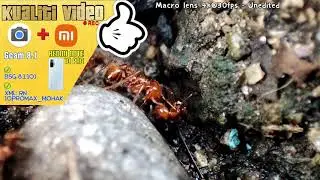 Gcam 8.1 Redmi Note 10 Pro | Video Quality is Awesome | Download links Provided