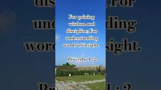 Understanding words of Insight #Wisdom #Discipline #Shorts
