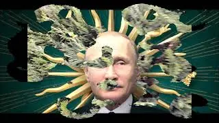 #979 США, "Король", ты слышишь?
