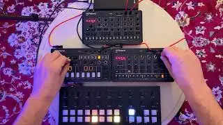 Tied The Room Together 🧘🏻‍♂️🪴⚡🎶 Meditative Improvised Electronic Music 🧘🏻‍♂️🪴⚡🎶 Torso T-1 Sequencing