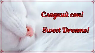 Music for sleep! Full immersion! Summer night to the sound of crickets! Музыка для сна! Медитация!