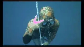PADI Freediving Instructor course with Max Musella @ Orca Diving Ustica