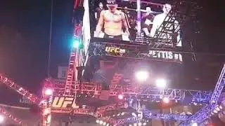 UFC 241 🤸
