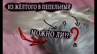 ИЗ ЖЕЛТОГО В ПЕПЕЛЬНЫЙ\ МОЖНО ЛИ ПОКРАСИТЬ ПАРИК\Крашу пряди пытаясь адекватно донести #парик