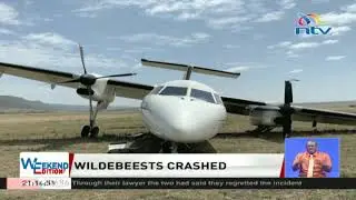 Safarilink plane crashes at landing in Maasai Mara, kills 2 animals