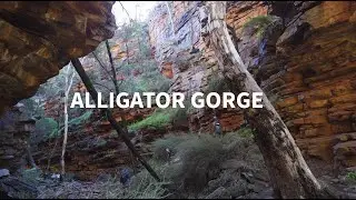 Alligator Gorge