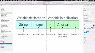 009 Dart and Flutter Variable declaration and initialization