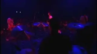 UNDER MY SKIN (LIVE)