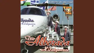 Desde Abajo
