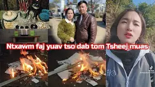 Ntxawm faj yuav tso dab tom Tsheej muas kom tuag 09/01/2026