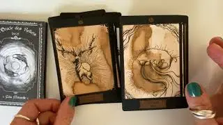 Review l&rsquo;oracle des reflets de C&eacute;lia melesville 🥰💜