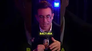Por Que Voc&ecirc; Deve Comer Ma&ccedil;&atilde; Todos os Dias?