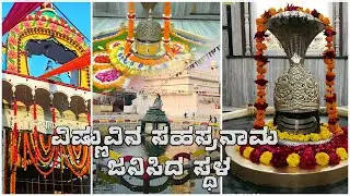Kurukshetra Part 2 I Sthaneshwar Mahadev Temple | Temple History | Pramod Bhartiya