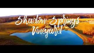 Shadow Springs Vineyard By Drone