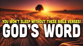 I SURVIVED the Storm with These Bible Verses