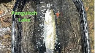 Panguitch Lake, Utah, rainbow trout on a nymph fly #flyfishing #troutfishing #trout